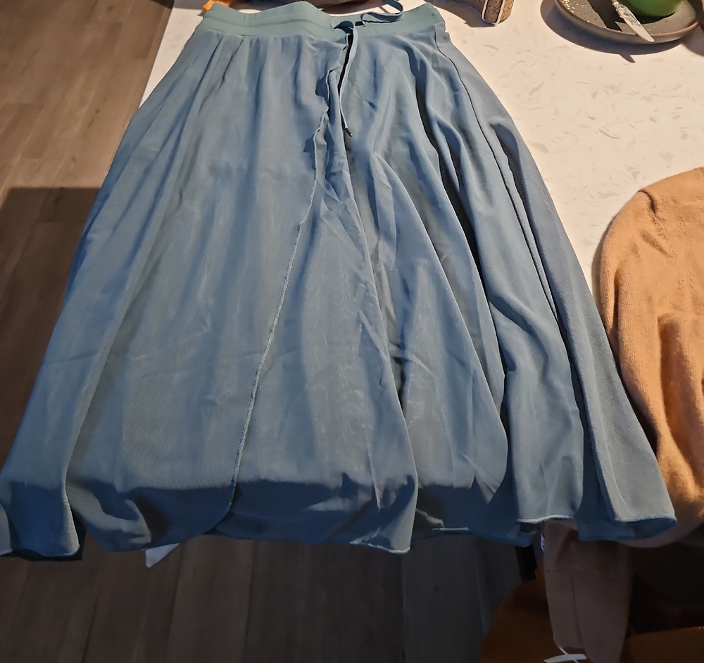Body Central A-Line Blue Skirt